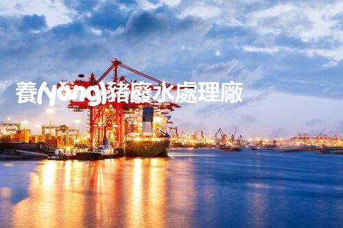 養(yǎng)豬廢水處理廠家：革新環(huán)保技術，打造清潔生態(tài)！